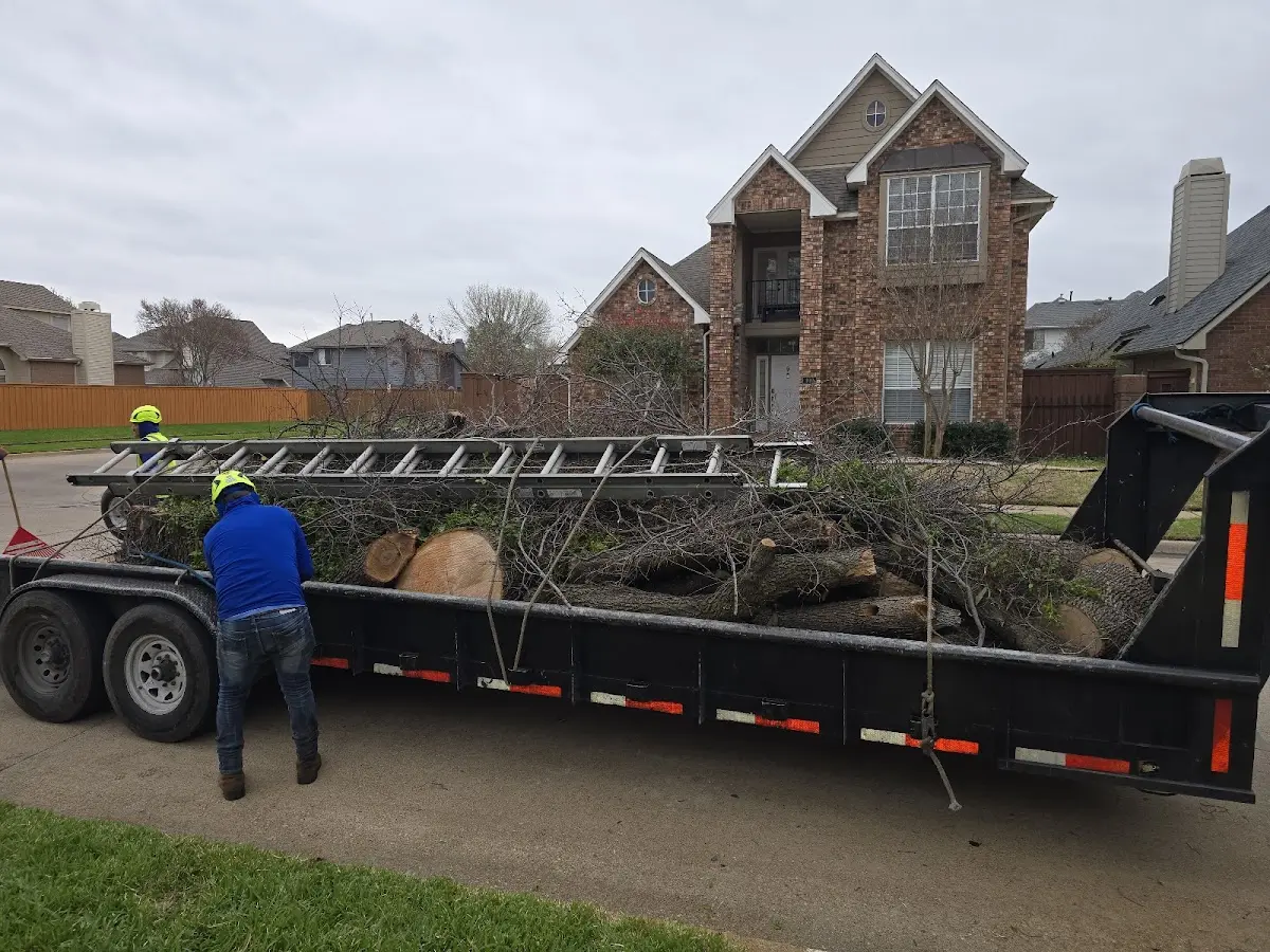 Expert Tree Removal with proper safety equipment in Gordonsville